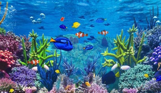 Quels sont les types de filtration pour l’aquarium d’eau douce ?