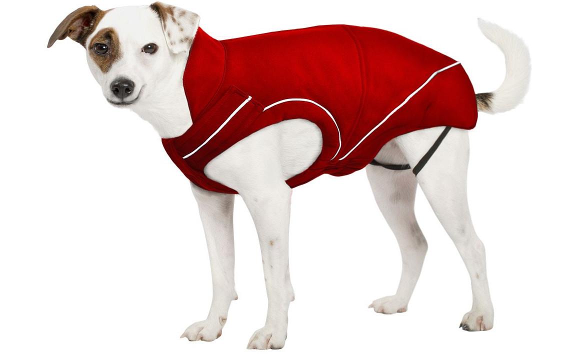 manteau chien taille l