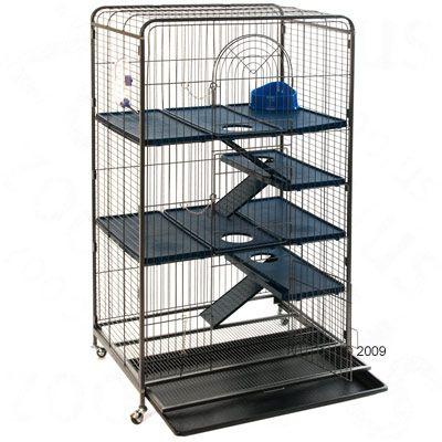 cage pour chinchilla