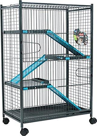 cage pour chinchilla